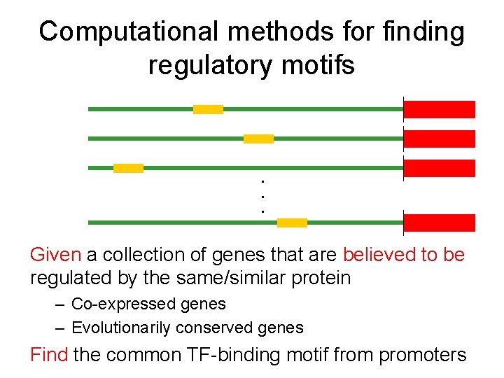 Computational methods for finding regulatory motifs . . . Given a collection of genes