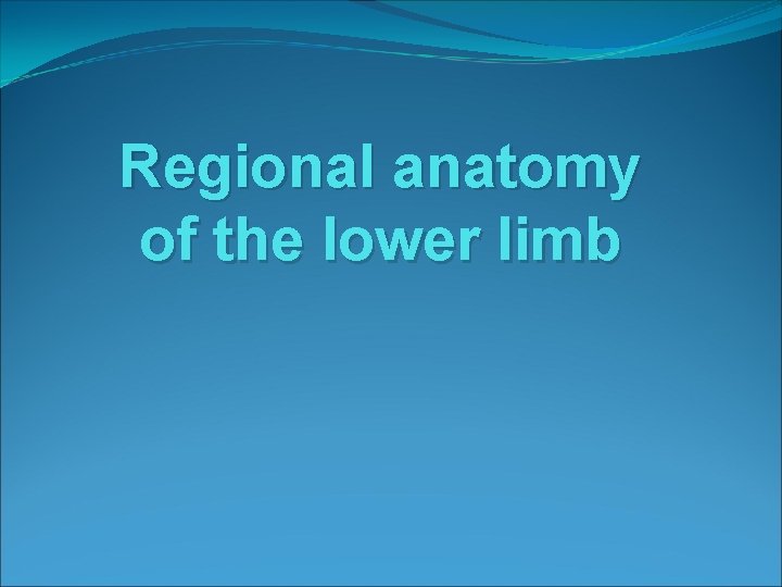 Regional anatomy of the lower limb 