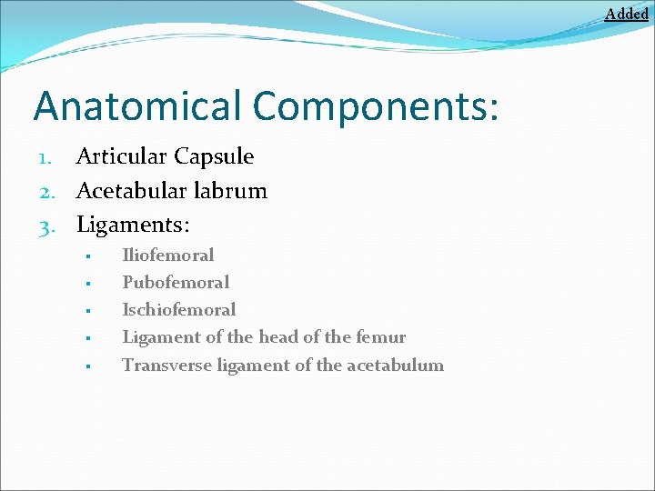 Added Anatomical Components: 1. Articular Capsule 2. Acetabular labrum 3. Ligaments: § § §