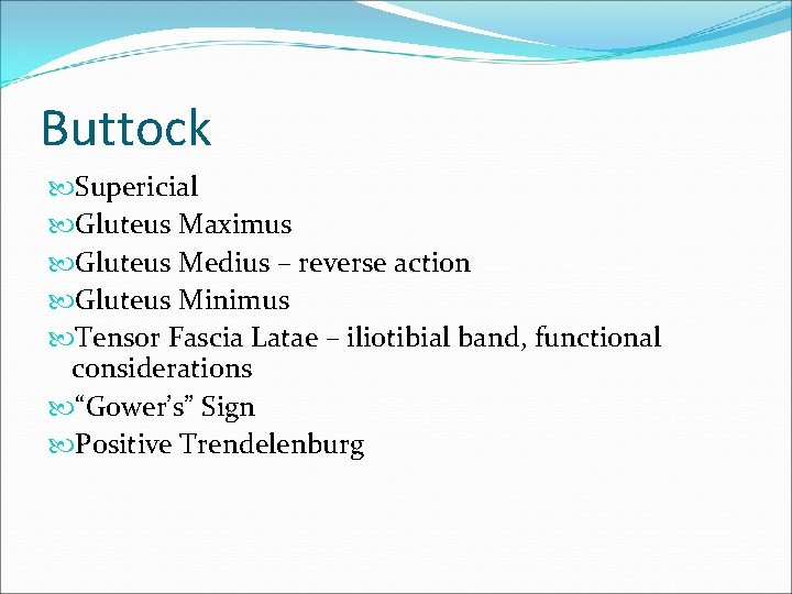 Buttock Supericial Gluteus Maximus Gluteus Medius – reverse action Gluteus Minimus Tensor Fascia Latae