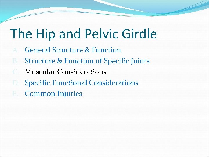 The Hip and Pelvic Girdle A. B. C. D. E. General Structure & Function