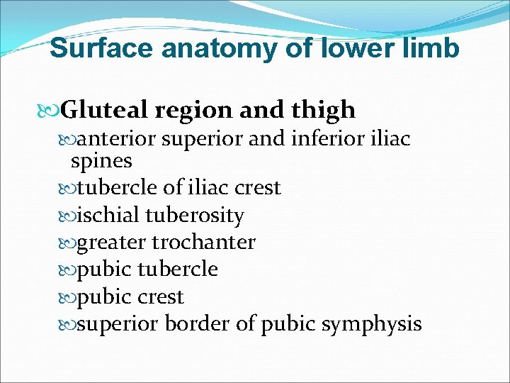 Surface anatomy of lower limb Gluteal region and thigh anterior superior and inferior iliac