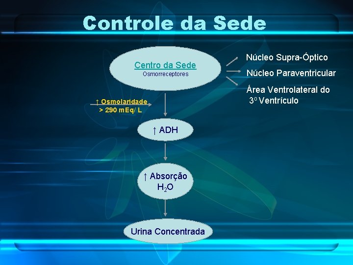 Controle da Sede Centro da Sede Osmorreceptores Núcleo Supra-Óptico Núcleo Paraventricular Área Ventrolateral do