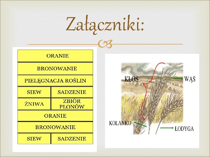 Załączniki: 