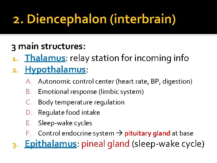 2. Diencephalon (interbrain) 3 main structures: 1. Thalamus: relay station for incoming info 2.