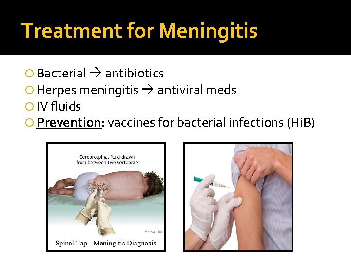 Treatment for Meningitis Bacterial antibiotics Herpes meningitis antiviral meds IV fluids Prevention: vaccines for
