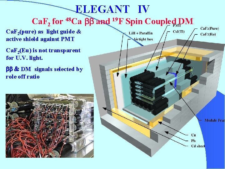 ELEGANT　IV　 Ca. F 2 for 48 Ca bb and 19 F Spin Coupled DM
