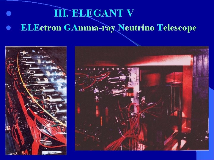 l l III. ELEGANT V ELEctron GAmma-ray Neutrino Telescope 