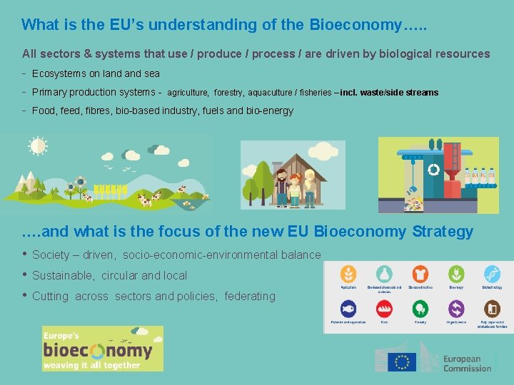 What is the EU’s understanding of the Bioeconomy…. . All sectors & systems that