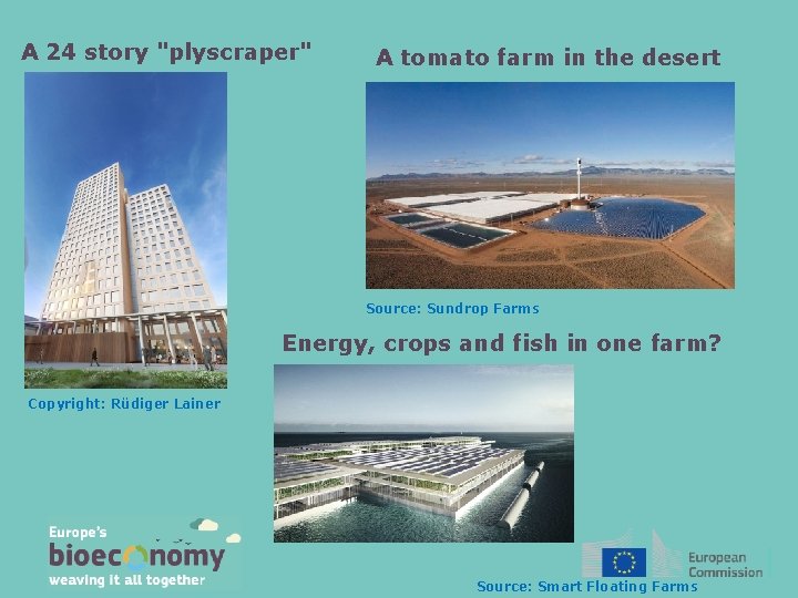 A 24 story "plyscraper" A tomato farm in the desert Source: Sundrop Farms Energy,