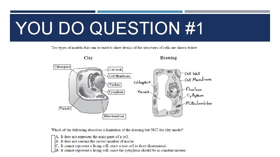 YOU DO QUESTION #1 