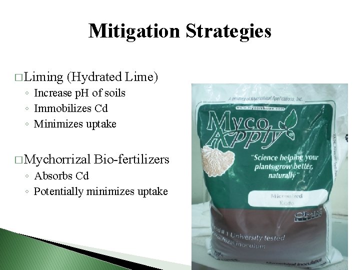 Mitigation Strategies � Liming (Hydrated Lime) ◦ Increase p. H of soils ◦ Immobilizes