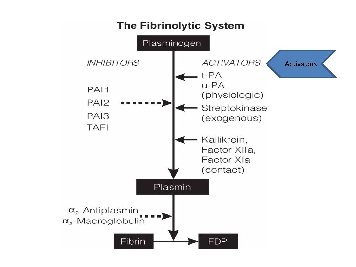 Activators 