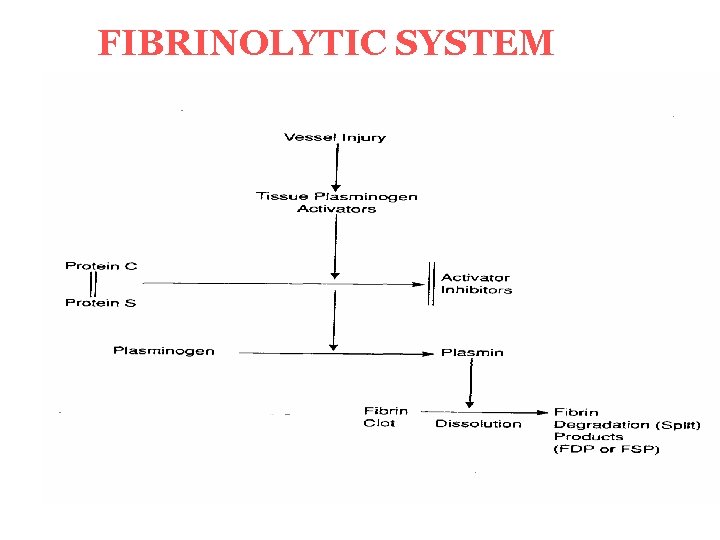 FIBRINOLYTIC SYSTEM 