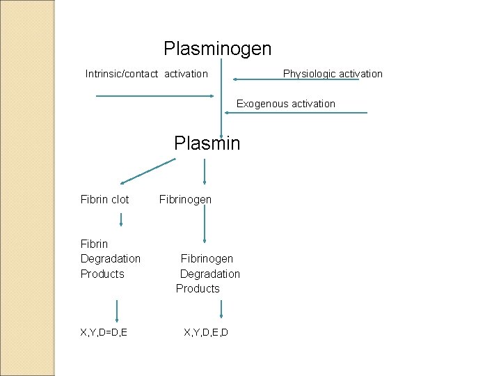 Plasminogen Intrinsic/contact activation Physiologic activation Exogenous activation Plasmin Fibrin clot Fibrin Degradation Products X,