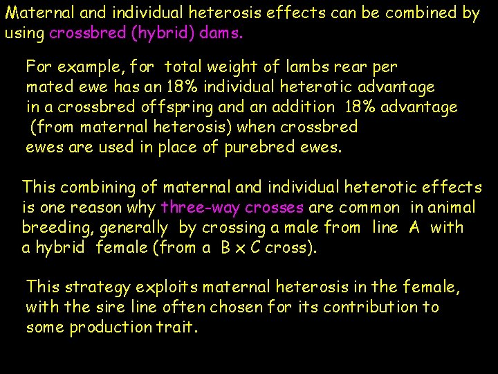 Maternal and individual heterosis effects can be combined by using crossbred (hybrid) dams. For