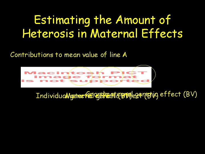 Estimating the Amount of Heterosis in Maternal Effects Contributions to mean value of line