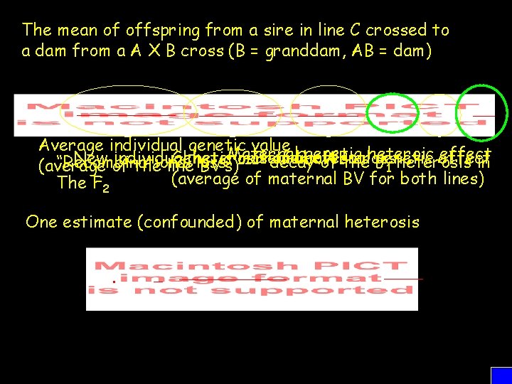 The mean of offspring from a sire in line C crossed to a dam
