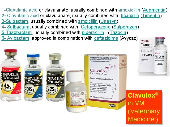 1 -Clavulanic acid or clavulanate, usually combined with amoxicillin (Augmentin) 2 - Clavulanic acid