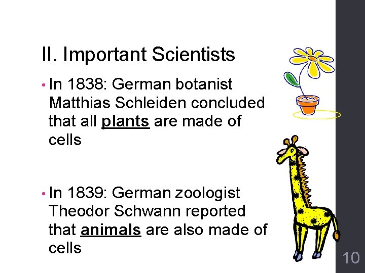 II. Important Scientists • In 1838: German botanist Matthias Schleiden concluded that all plants