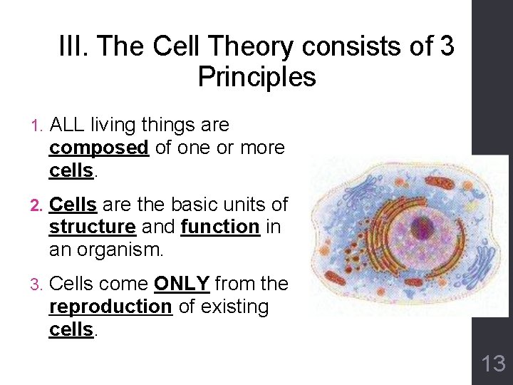 III. The Cell Theory consists of 3 Principles 1. ALL living things are composed