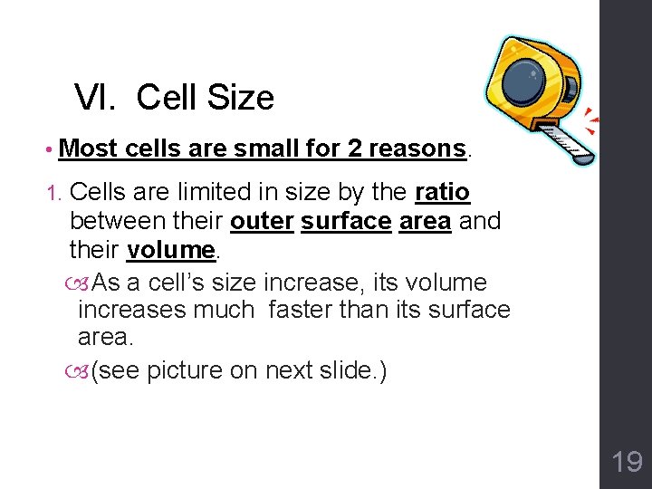 VI. Cell Size • Most 1. cells are small for 2 reasons. Cells are