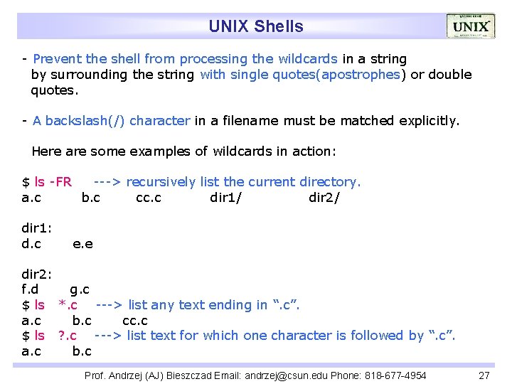 UNIX Shells - Prevent the shell from processing the wildcards in a string by