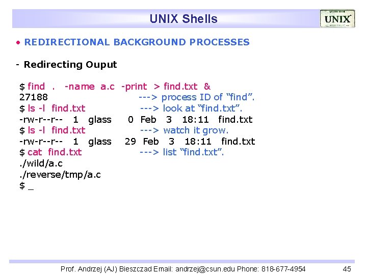 UNIX Shells • REDIRECTIONAL BACKGROUND PROCESSES - Redirecting Ouput $ find. -name a. c