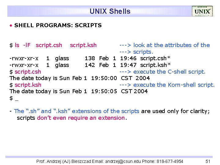 UNIX Shells • SHELL PROGRAMS: SCRIPTS $ ls -l. F script. csh -rwxr-xr-x 1