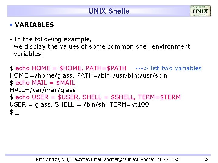 UNIX Shells • VARIABLES - In the following example, we display the values of
