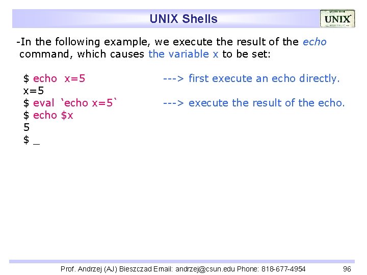 UNIX Shells -In the following example, we execute the result of the echo command,