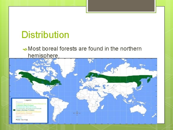 Distribution Most boreal forests are found in the northern hemisphere. 