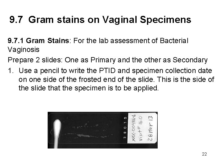 9. 7 Gram stains on Vaginal Specimens 9. 7. 1 Gram Stains: For the