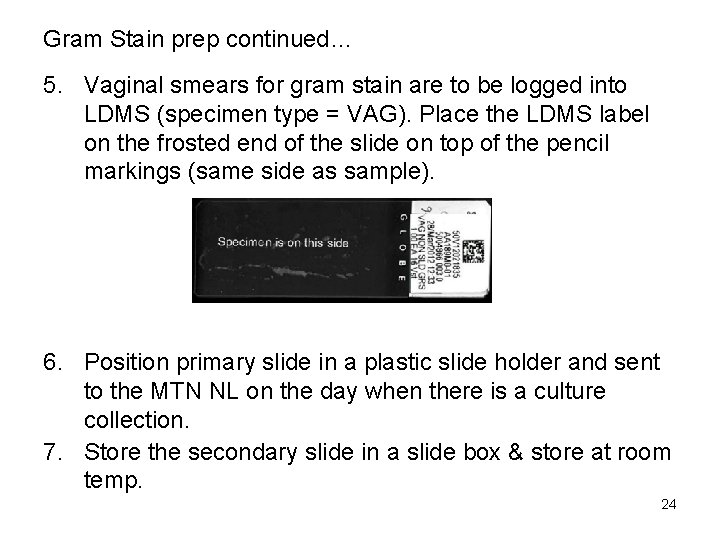 Gram Stain prep continued… 5. Vaginal smears for gram stain are to be logged