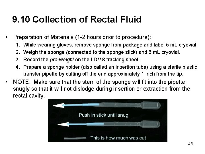 9. 10 Collection of Rectal Fluid • Preparation of Materials (1 -2 hours prior