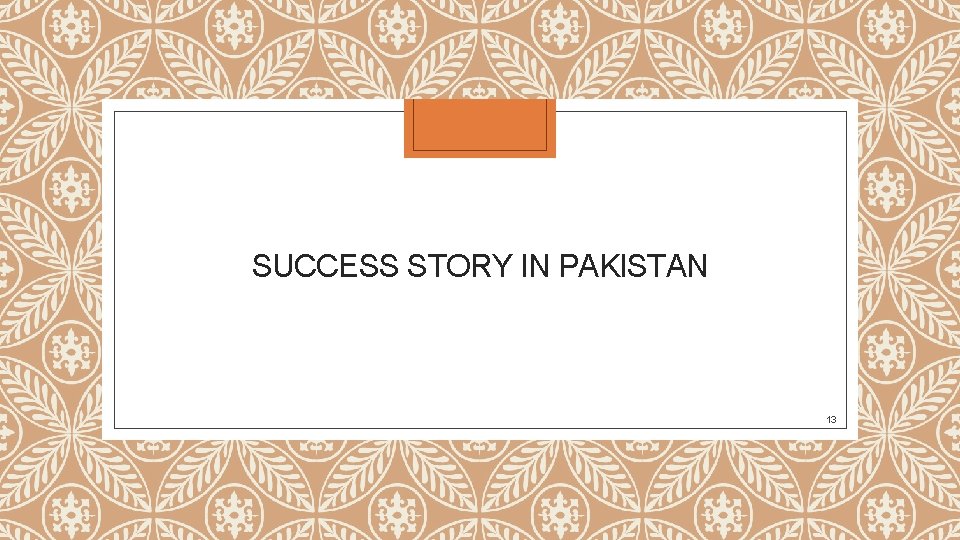 SUCCESS STORY IN PAKISTAN 13 