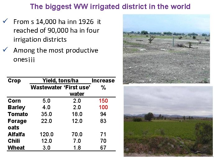 The biggest WW irrigated district in the world ü From s 14, 000 ha