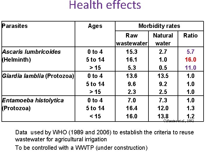 Health effects Parasites Ascaris lumbricoides (Helminth) Giardia lamblia (Protozoa) Entamoeba histolytica (Protozoa) Ages 0