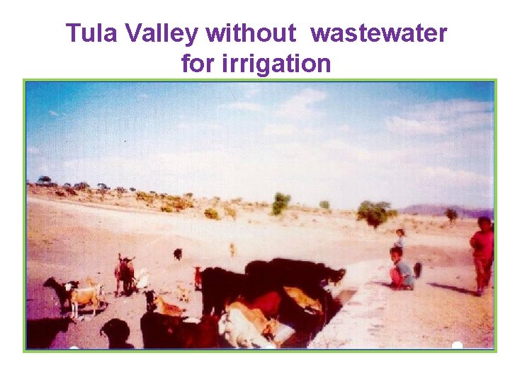 Tula Valley without wastewater for irrigation 