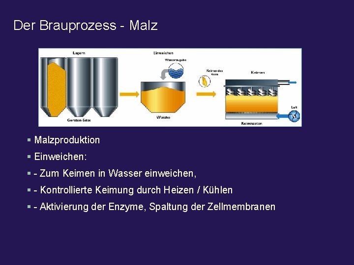 Der Brauprozess - Malz § Malzproduktion § Einweichen: § - Zum Keimen in Wasser