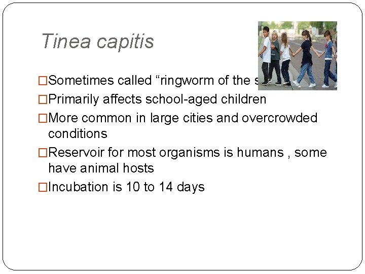 Tinea capitis �Sometimes called “ringworm of the scalp” �Primarily affects school-aged children �More common