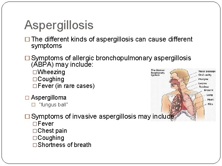 Aspergillosis � The different kinds of aspergillosis can cause different symptoms � Symptoms of