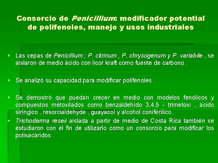 Consorcio de Penicillium: modificador potential de polifenoles, manejo y usos industriales § Las cepas