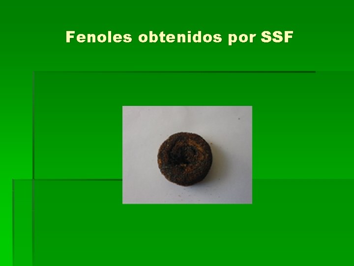 Fenoles obtenidos por SSF 