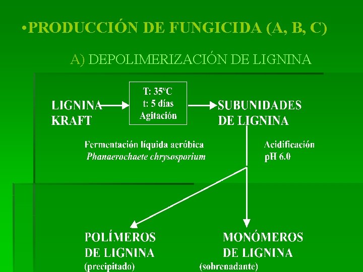 • PRODUCCIÓN DE FUNGICIDA (A, B, C) A) DEPOLIMERIZACIÓN DE LIGNINA 