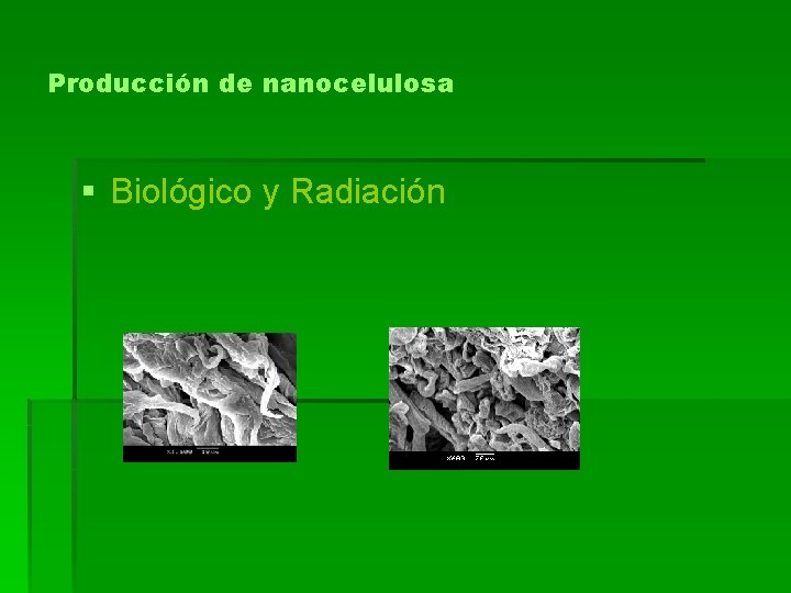 Producción de nanocelulosa § Biológico y Radiación 