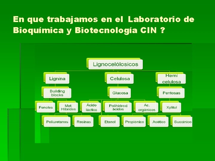 En que trabajamos en el Laboratorio de Bioquímica y Biotecnología CIN ? 