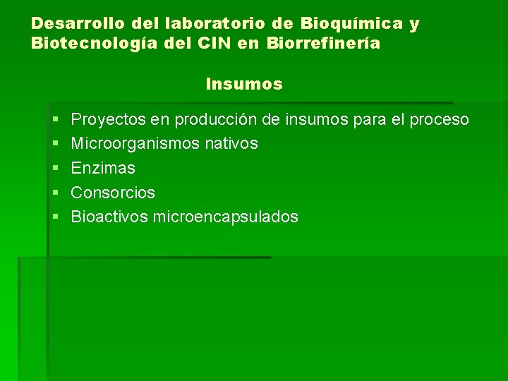 Desarrollo del laboratorio de Bioquímica y Biotecnología del CIN en Biorrefinería Insumos § §