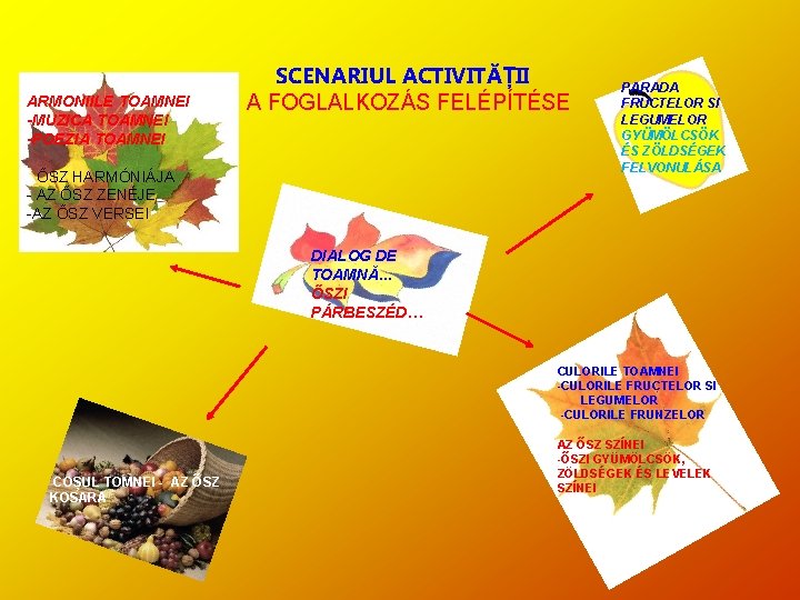 ARMONIILE TOAMNEI -MUZICA TOAMNEI -POEZIA TOAMNEI SCENARIUL ACTIVITĂȚII A FOGLALKOZÁS FELÉPÍTÉSE - ŐSZ HARMÓNIÁJA