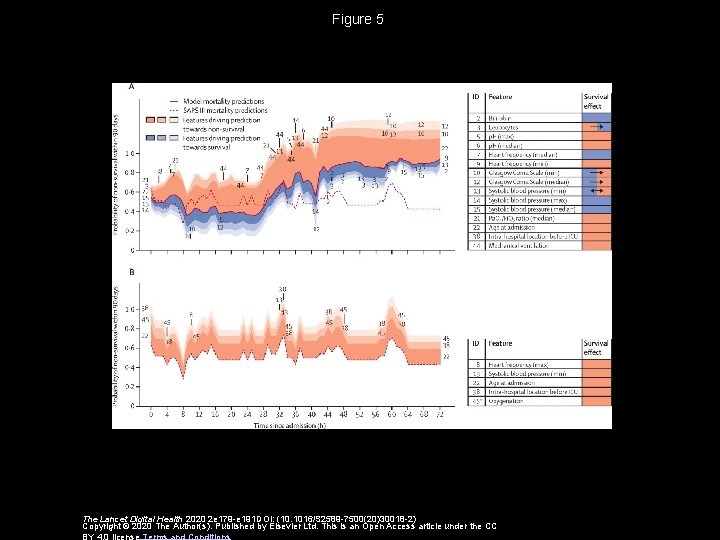 Dynamic and explainable machine learning prediction of mortality